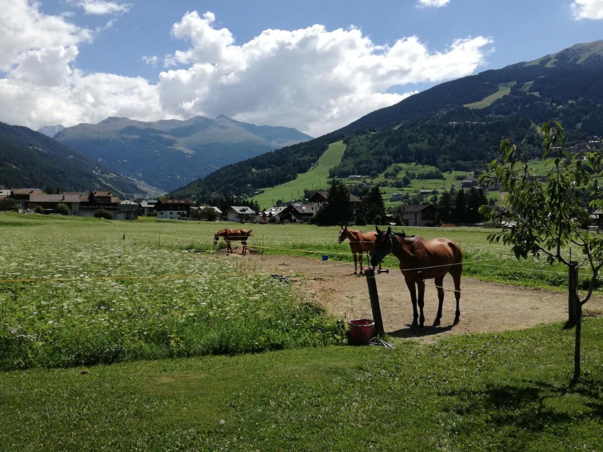 Casa Giulia Bormio